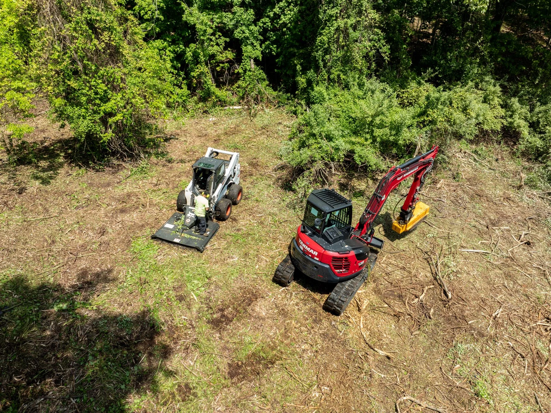 Forestry mulching equipment clearing overgrown vegetation